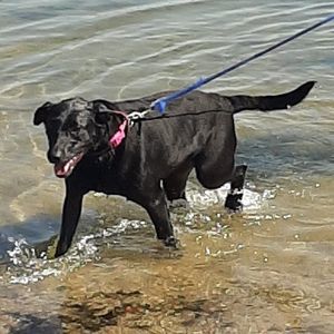 Meet your Posher, Cindy